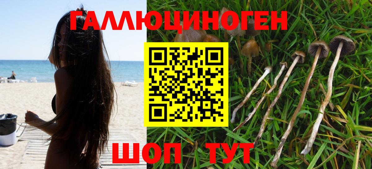 Псилоцибиновые грибы прущие грибы Шатура