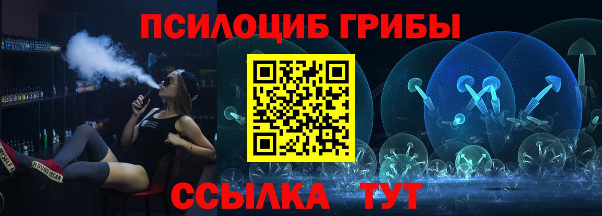 Шатура  Псилоцибиновые грибы ЛСД  Вход с VPN  Галлюциногенные грибы прущие грибы 